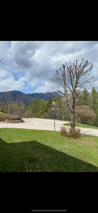 카발레즈 Casa Gilda Val Di Fiemme - Dolomiti 아파트 외부 사진